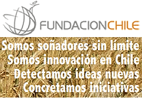 Fundación Chile